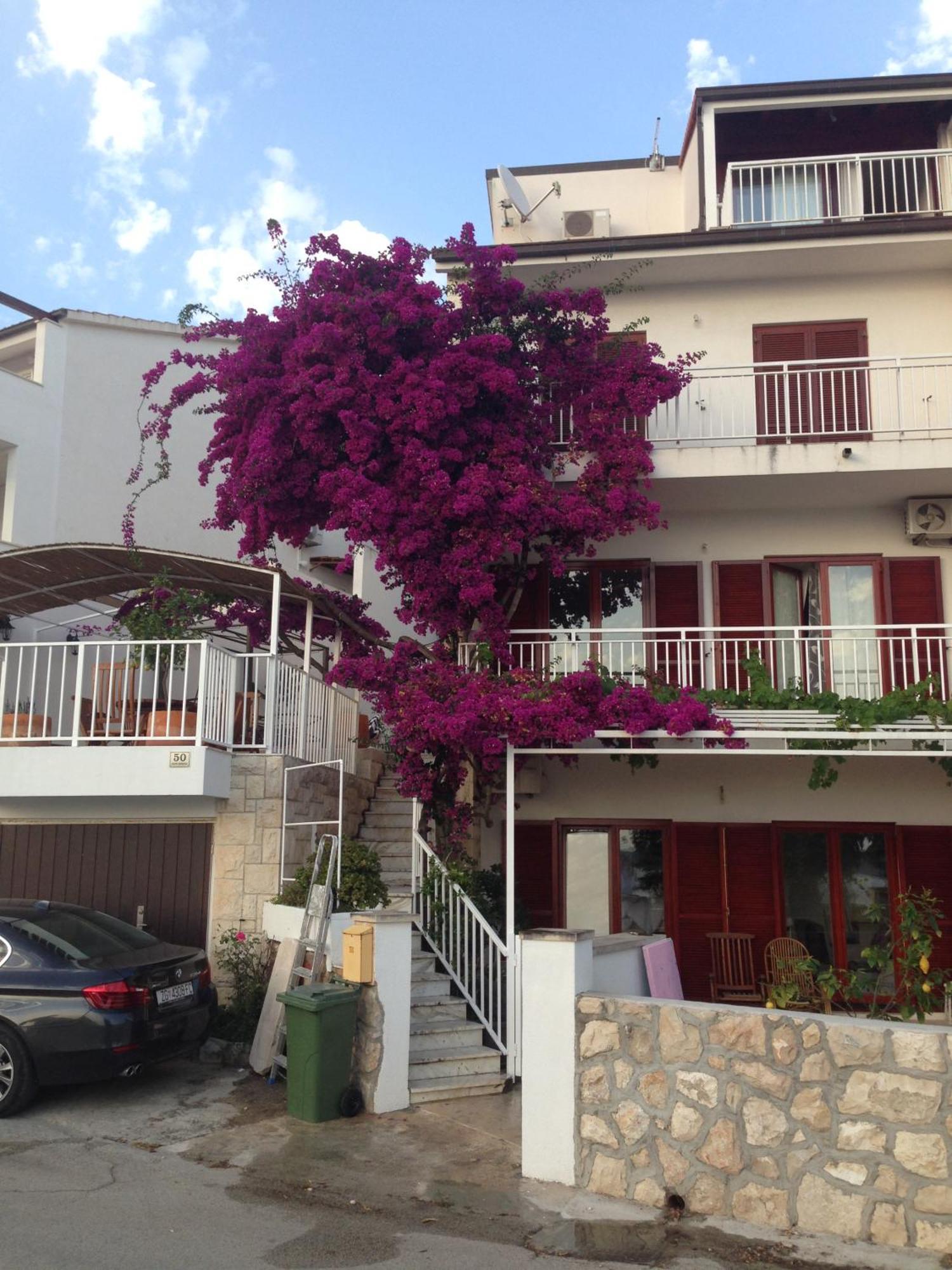 Apartment Duda Hvar Town Bagian luar foto
